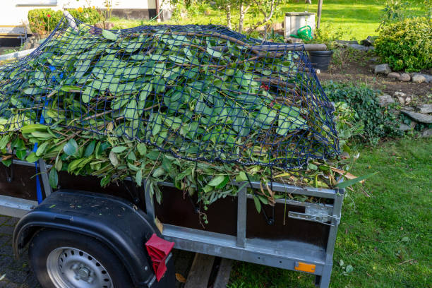 Best Scrap Metal Removal  in Tellico Plains, TN